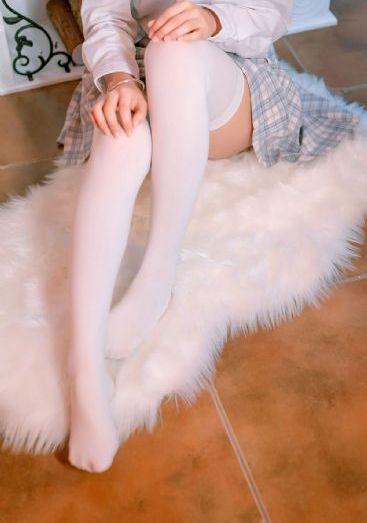 细狗免费版