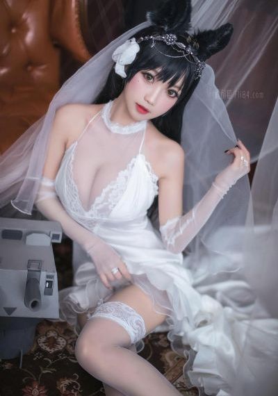 翼舞在线观看免费观看全部节目