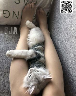 法国女人