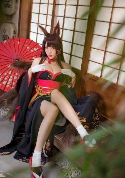 免费挖掘机100集连续播放