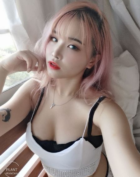 间之楔动漫旧版完整在线观看