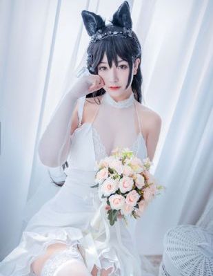 忠者无敌电视剧免费播放全集
