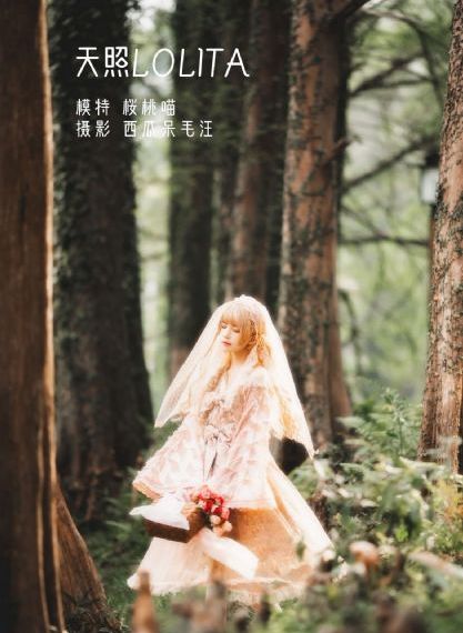 最后的真相免费观看电影