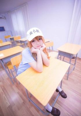 美丽小蜜蜂9
